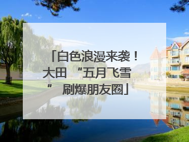 白色浪漫来袭！大田 “五月飞雪” 刷爆朋友圈