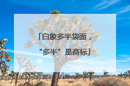 白象多半袋面，“多半”是商标