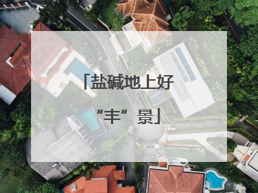 盐碱地上好“丰”景