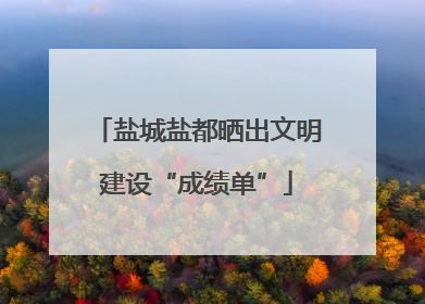 盐城盐都晒出文明建设“成绩单”