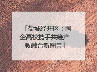 盐城经开区：国企高校携手共绘产教融合新图景