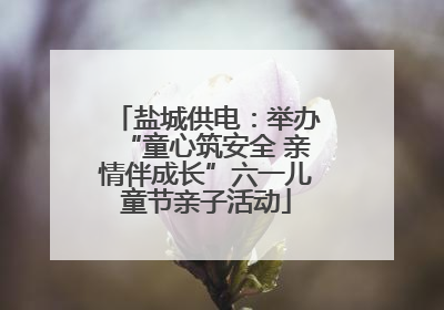 盐城供电：举办“童心筑安全 亲情伴成长”六一儿童节亲子活动
