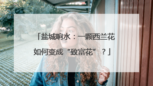 盐城响水：一颗西兰花如何变成“致富花”？