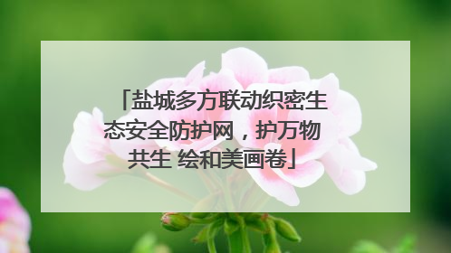 盐城多方联动织密生态安全防护网，护万物共生 绘和美画卷