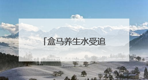 盒马养生水受追捧，打造年轻消费者养生新选择