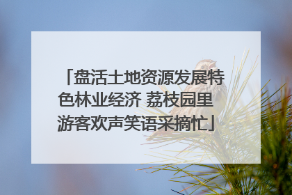 盘活土地资源发展特色林业经济 荔枝园里游客欢声笑语采摘忙