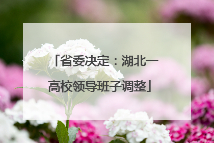 省委决定：湖北一高校领导班子调整