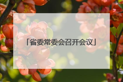 省委常委会召开会议