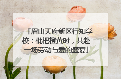 眉山天府新区行知学校：枇杷橙黄时，共赴一场劳动与爱的盛宴