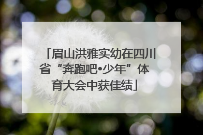 眉山洪雅实幼在四川省“奔跑吧•少年”体育大会中获佳绩