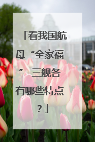 看我国航母“全家福” 三舰各有哪些特点？