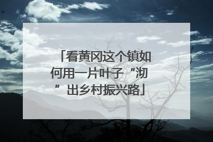 看黄冈这个镇如何用一片叶子“沏”出乡村振兴路