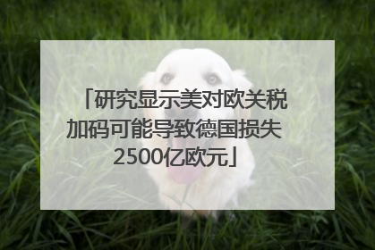 研究显示美对欧关税加码可能导致德国损失2500亿欧元