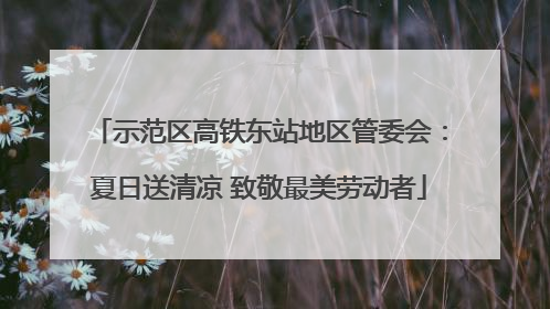 示范区高铁东站地区管委会：夏日送清凉 致敬最美劳动者