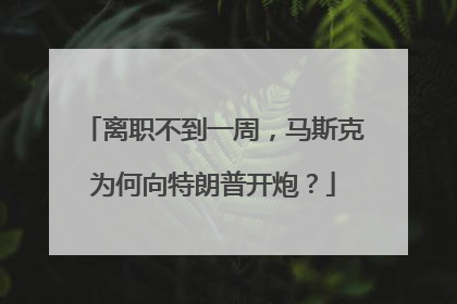 离职不到一周，马斯克为何向特朗普开炮？