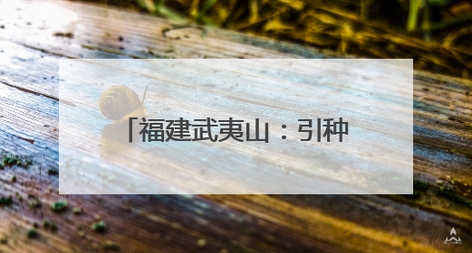 福建武夷山：引种七彩土豆喜获丰收