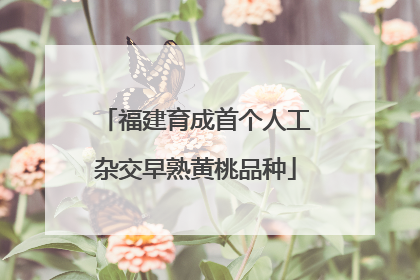 福建育成首个人工杂交早熟黄桃品种