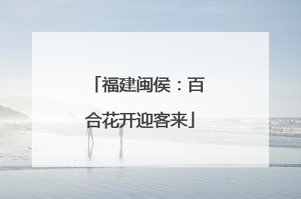 福建闽侯：百合花开迎客来