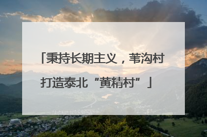 秉持长期主义，苇沟村打造泰北“黄精村”