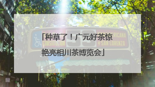 种草了！广元好茶惊艳亮相川茶博览会