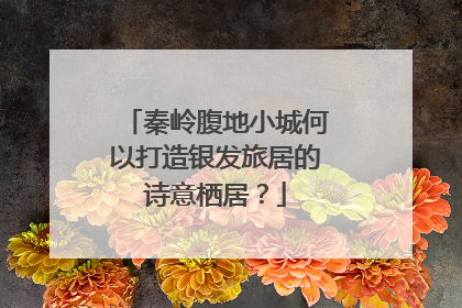 秦岭腹地小城何以打造银发旅居的诗意栖居？
