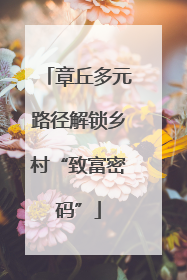 章丘多元路径解锁乡村“致富密码”