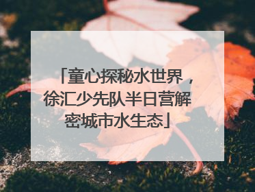 童心探秘水世界，徐汇少先队半日营解密城市水生态
