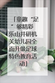 童趣“足”够精彩 乐山井研机关幼儿园全面升级足球特色教育活动