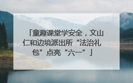 童趣课堂学安全，文山仁和边境派出所“法治礼包”点亮“六一”
