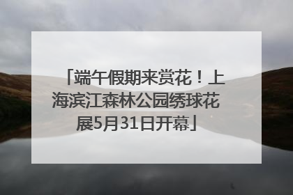 端午假期来赏花！上海滨江森林公园绣球花展5月31日开幕