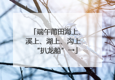 端午莆田海上、溪上、湖上、沟上“扒龙船”→
