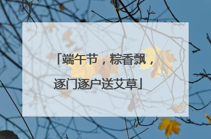 端午节，粽香飘，逐门逐户送艾草