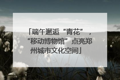 端午邂逅“青花”，“移动博物馆”点亮郑州城市文化空间