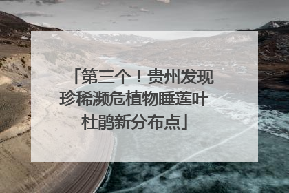 第三个！贵州发现珍稀濒危植物睡莲叶杜鹃新分布点