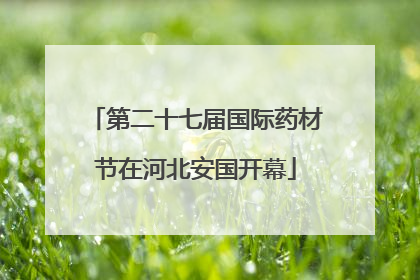 第二十七届国际药材节在河北安国开幕
