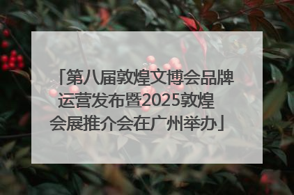 第八届敦煌文博会品牌运营发布暨2025敦煌会展推介会在广州举办