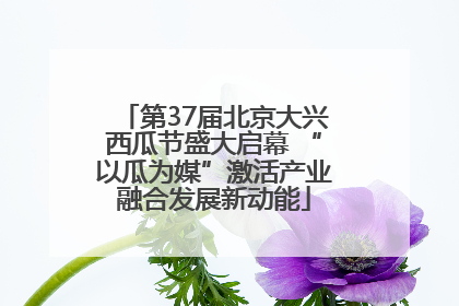 第37届北京大兴西瓜节盛大启幕 “以瓜为媒”激活产业融合发展新动能