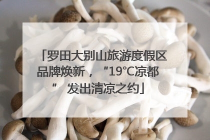 罗田大别山旅游度假区品牌焕新，“19℃凉都” 发出清凉之约