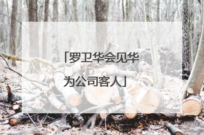 罗卫华会见华为公司客人