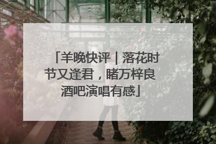 羊晚快评｜落花时节又逢君，睹万梓良酒吧演唱有感