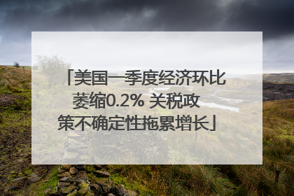 美国一季度经济环比萎缩0.2% 关税政策不确定性拖累增长