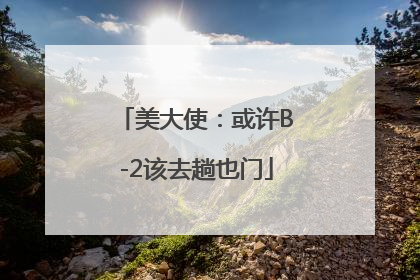 美大使：或许B-2该去趟也门