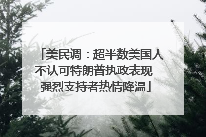 美民调：超半数美国人不认可特朗普执政表现 强烈支持者热情降温