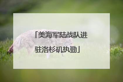 美海军陆战队进驻洛杉矶执勤