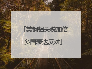 美钢铝关税加倍 多国表达反对