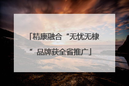 精康融合“无忧无棣”品牌获全省推广