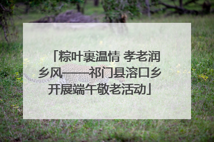 粽叶裹温情 孝老润乡风——祁门县溶口乡开展端午敬老活动