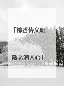 粽香传文明 敬老润人心