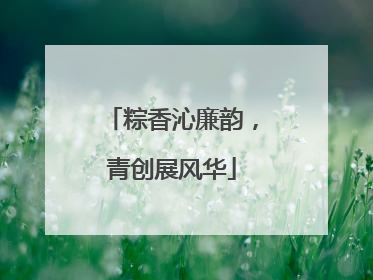粽香沁廉韵，青创展风华