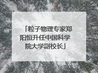 粒子物理专家郑阳恒升任中国科学院大学副校长